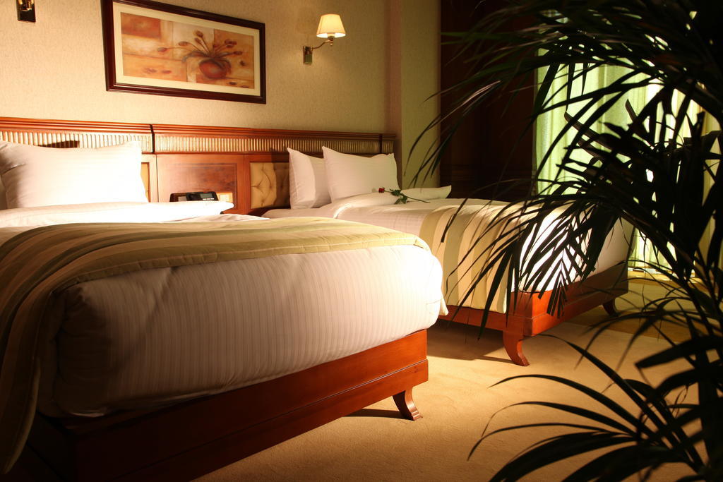 Helnan Landmark Hotel Kahire Oda fotoğraf